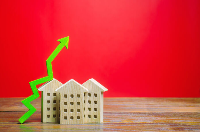 Auckland apartment market rising